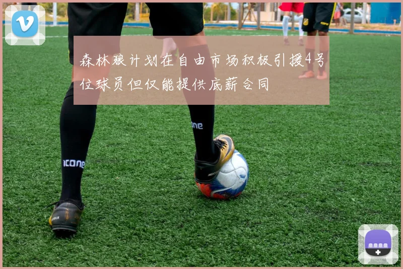 森林狼计划在自由市场积极引援4号位球员但仅能提供底薪合同