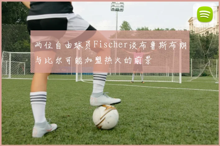 两位自由球员Fischer谈布鲁斯布朗与比尔可能加盟热火的前景
