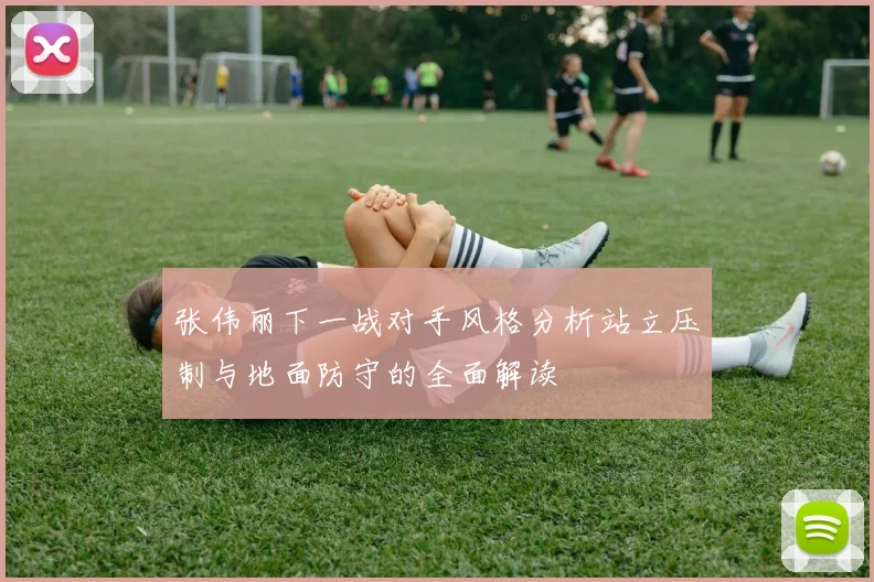 张伟丽下一战对手风格分析站立压制与地面防守的全面解读